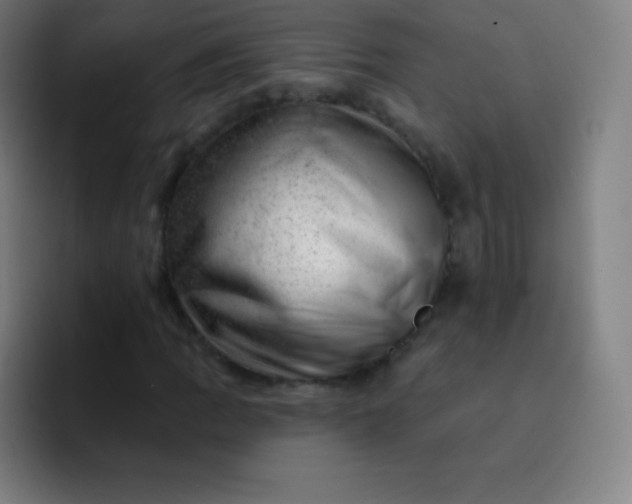 X0000093211109200710101321