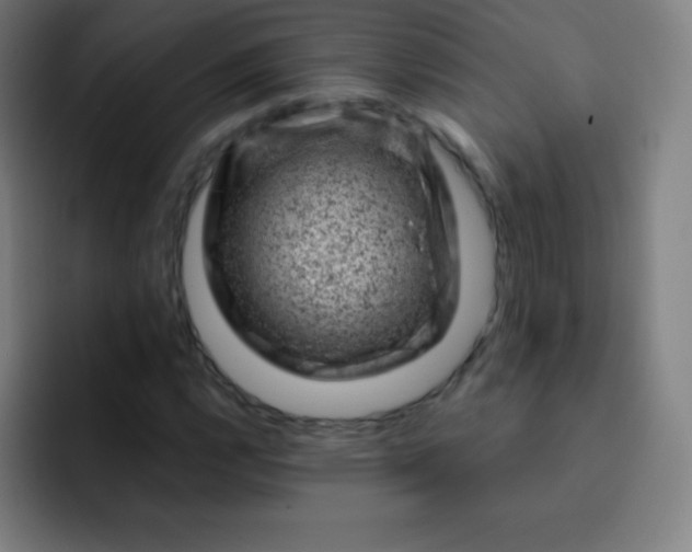 X0000093211112200710101321