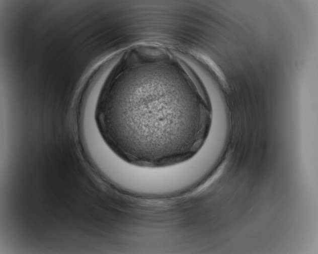 X0000093211114200710101321