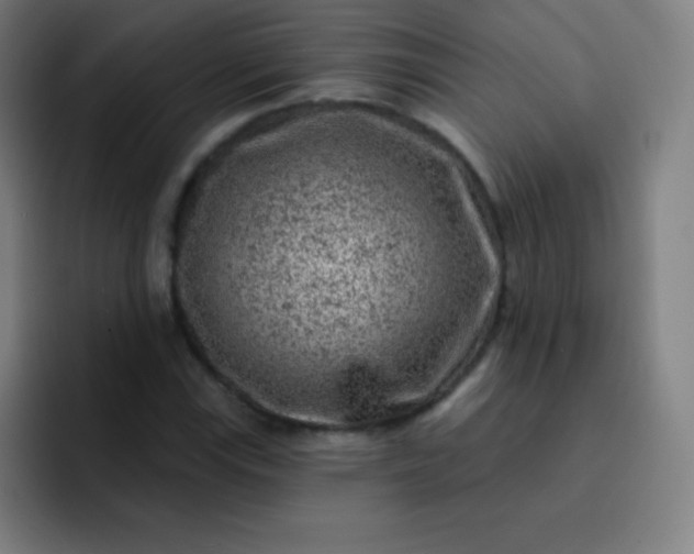 X0000093211115200710101321