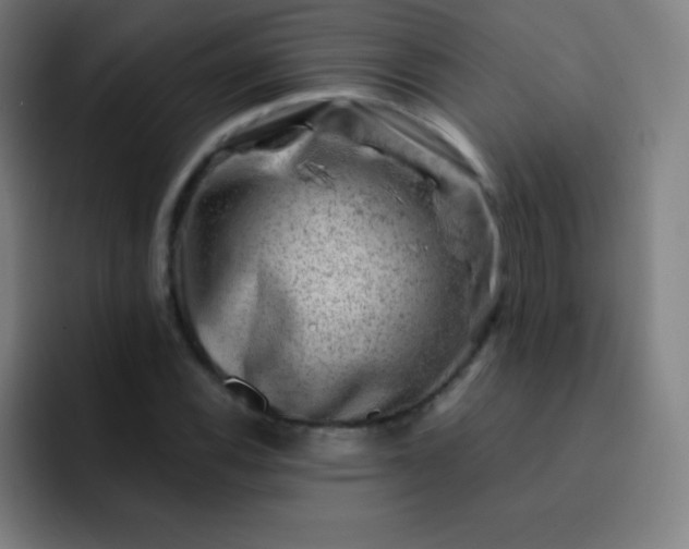 X0000093211116200710101321