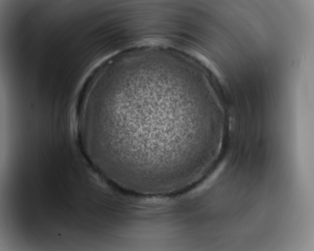 X0000093211117200710101321