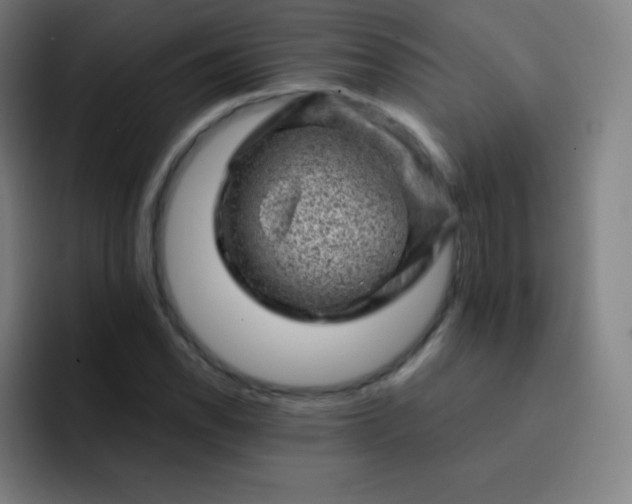 X0000093211118200710101321