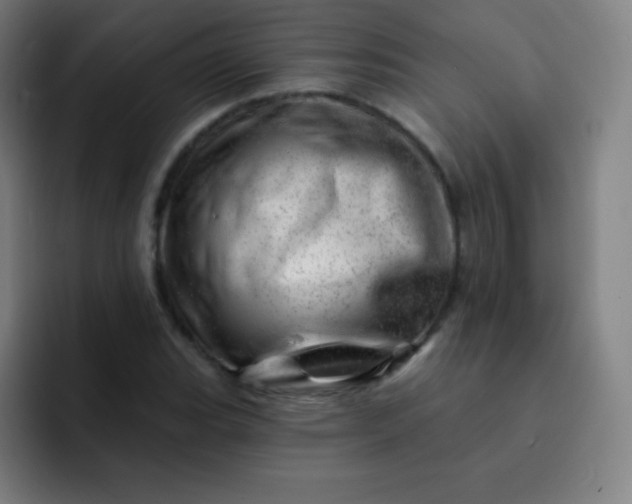 X0000093211119200710101321