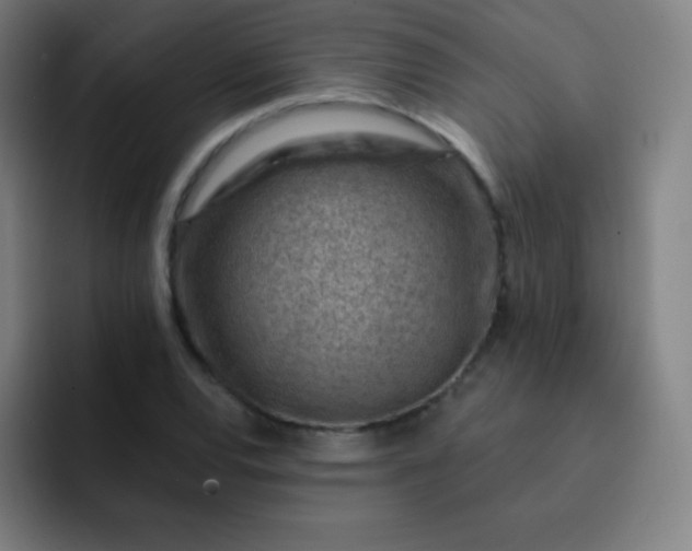 X0000093211120200710101321