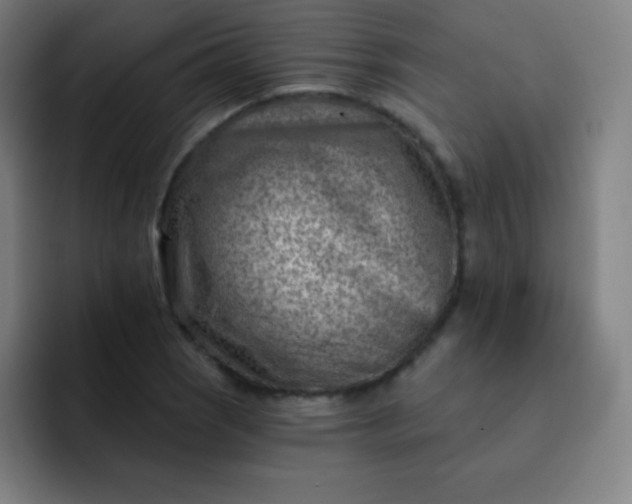 X0000093211121200710101321