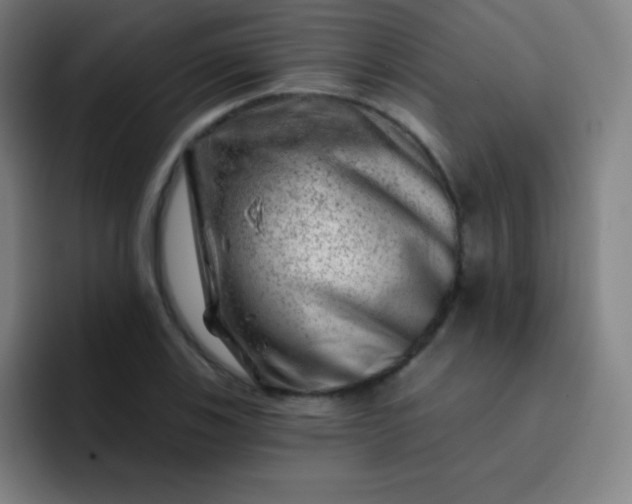 X0000093211123200710101321