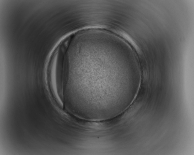 X0000093211124200710101321