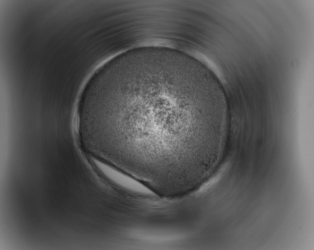 X0000093211125200710101321