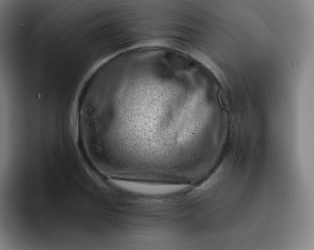 X0000093211127200710101321