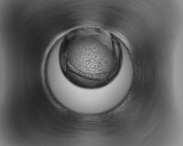 X0000093211128200710101321