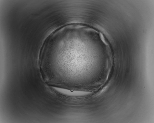 X0000093211129200710101321