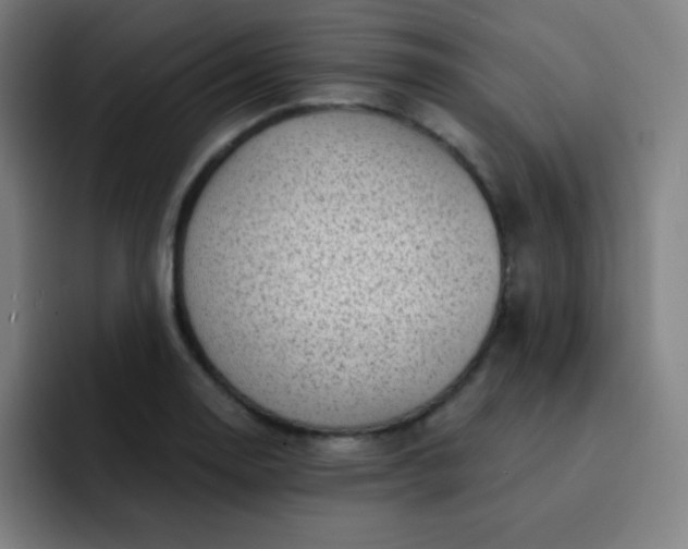 X0000093211130200710101321