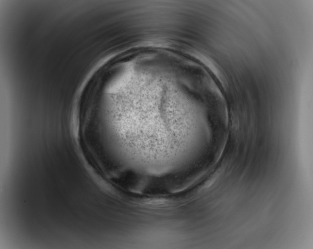 X0000093211131200710101321