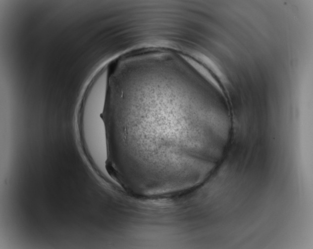 X0000093211133200710101321