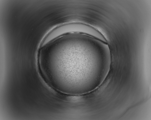 X0000093211134200710101321