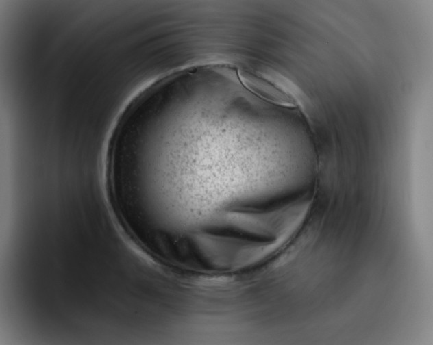 X0000093211135200710101321