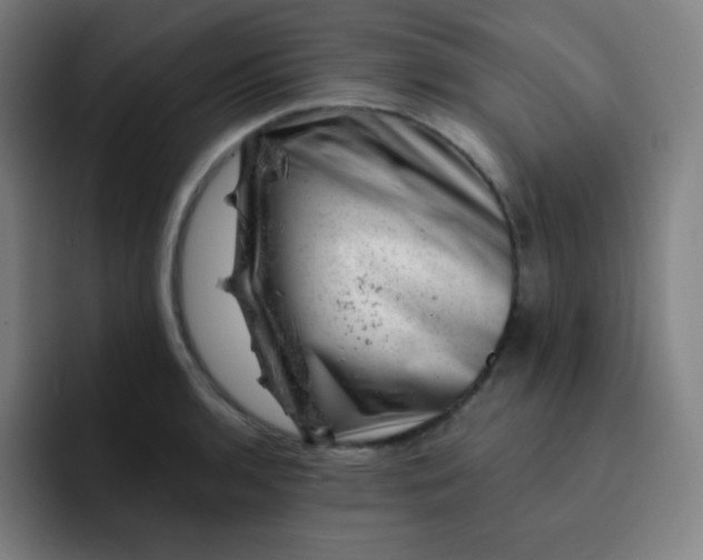 X0000093211136200710101321