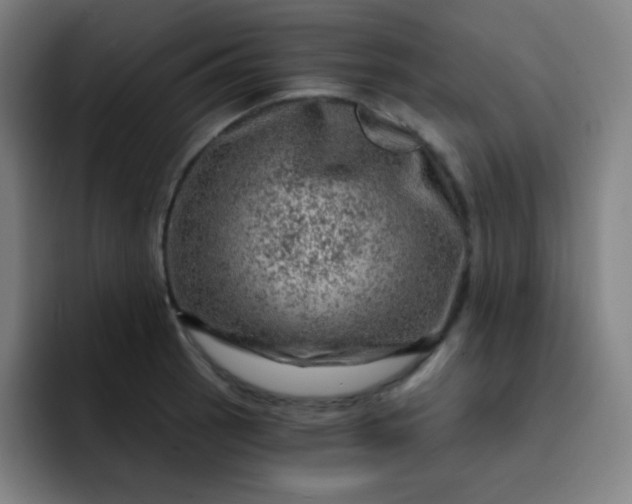 X0000093211137200710101321