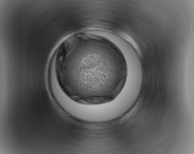 X0000093211138200710101321