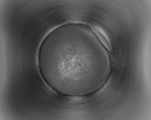 X0000093211141200710101321