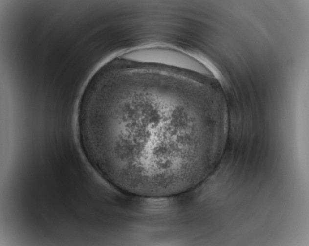 X0000093211142200710101321