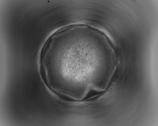 X0000093211143200710101321