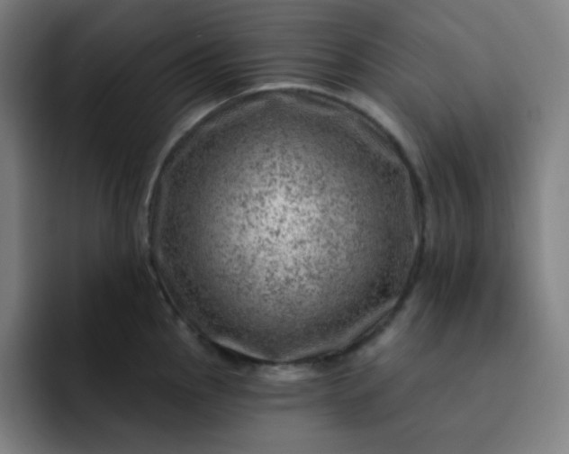 X0000093211145200710101321