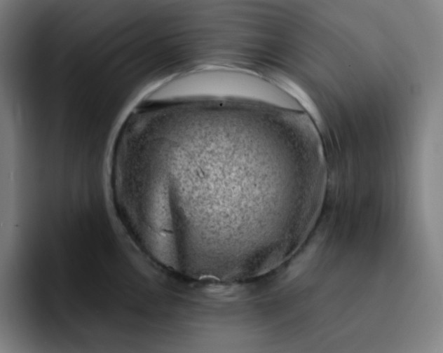 X0000093211146200710101321