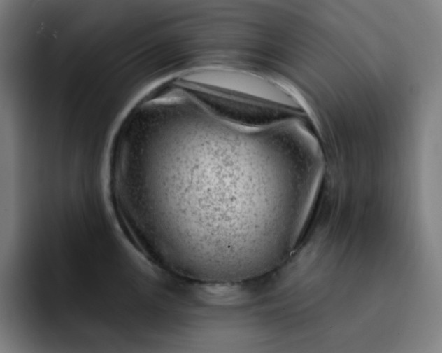 X0000093211147200710101321