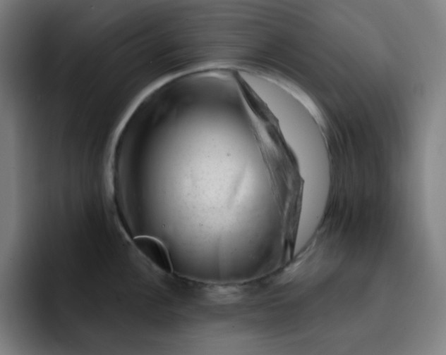 X0000093211148200710101322