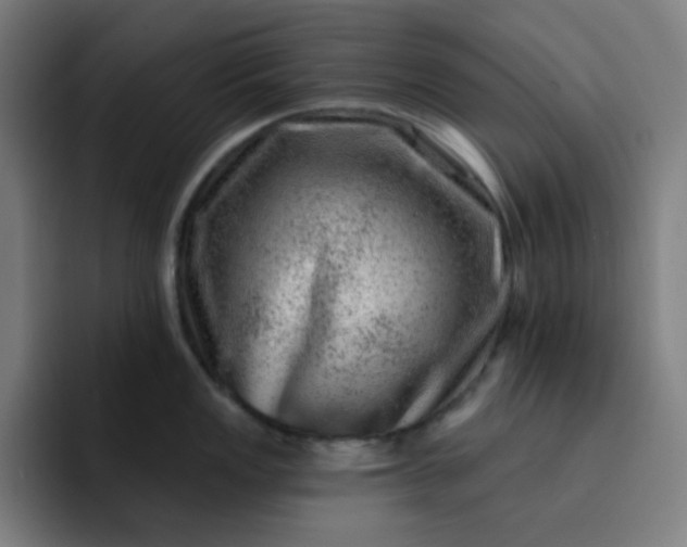 X0000093211149200710101322