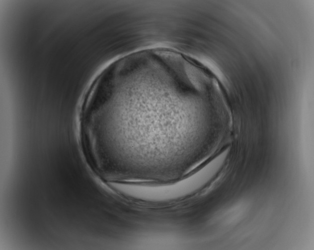 X0000093211151200710101322