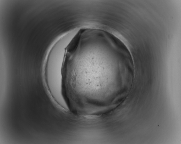 X0000093211152200710101322