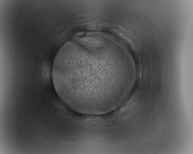 X0000093211154200710101321