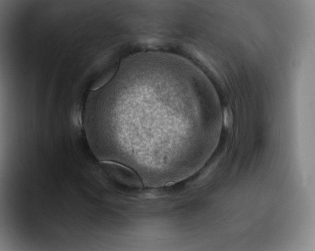 X0000093211155200710101321