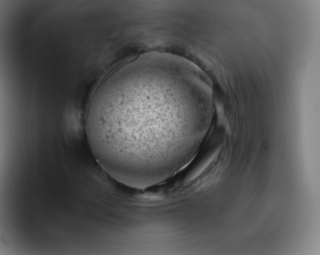 X0000093211156200710101321