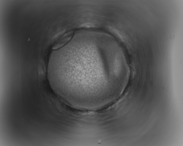 X0000093211158200710101321