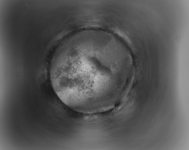 X0000093211159200710101321