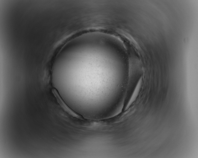 X0000093211160200710101321