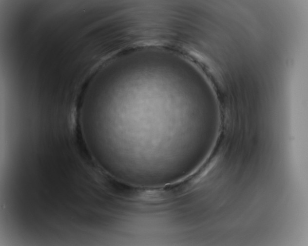 X0000093211161200710101321