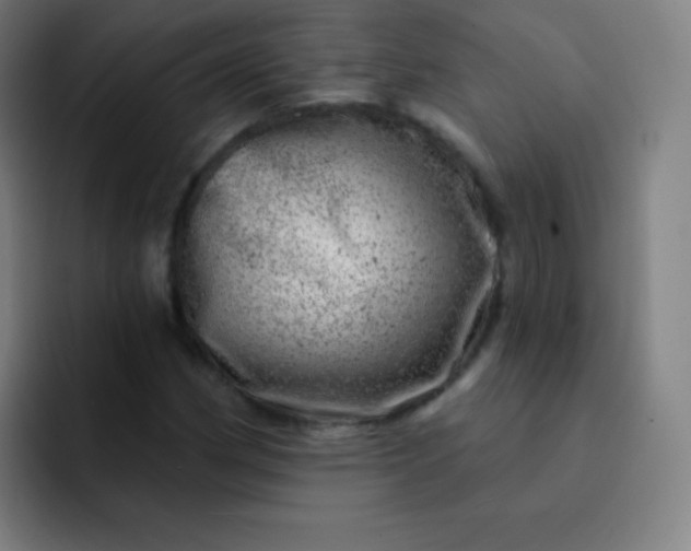 X0000093211162200710101321