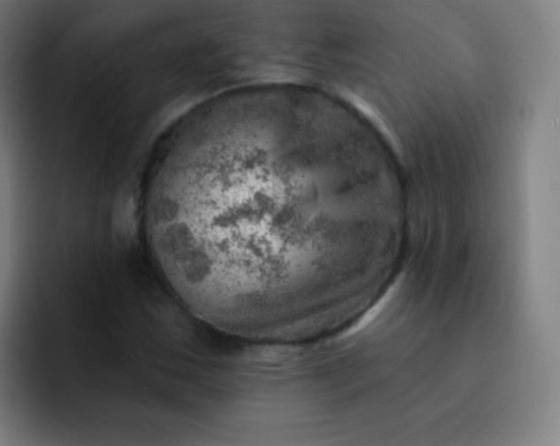 X0000093211163200710101321