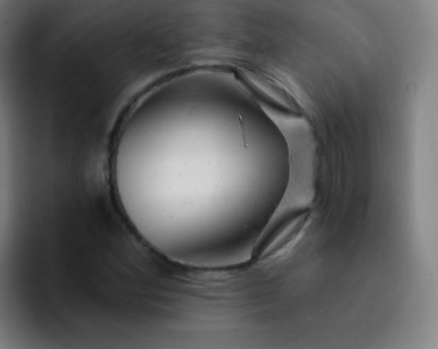 X0000093211164200710101321