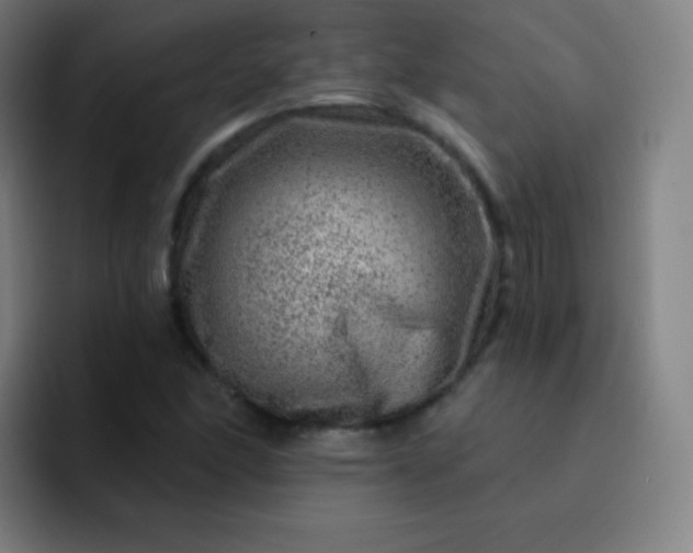 X0000093211166200710101321