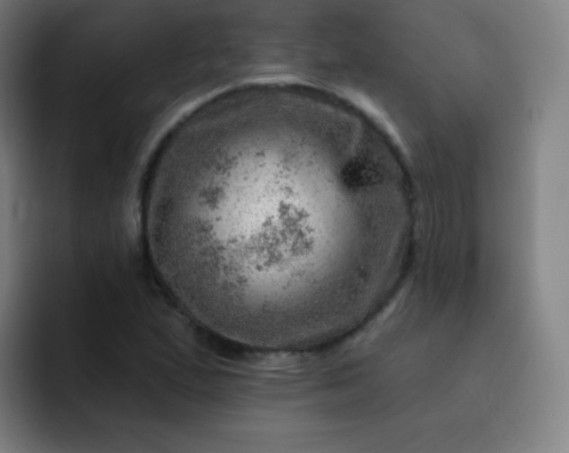 X0000093211167200710101321