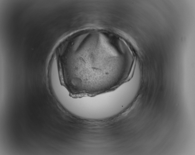 X0000093211168200710101321