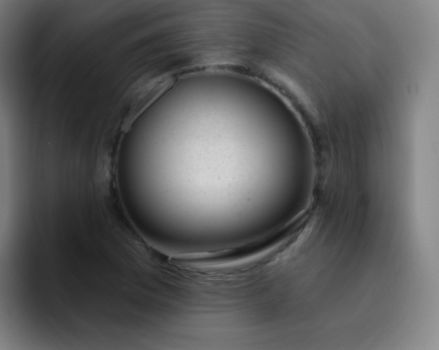 X0000093211169200710101321