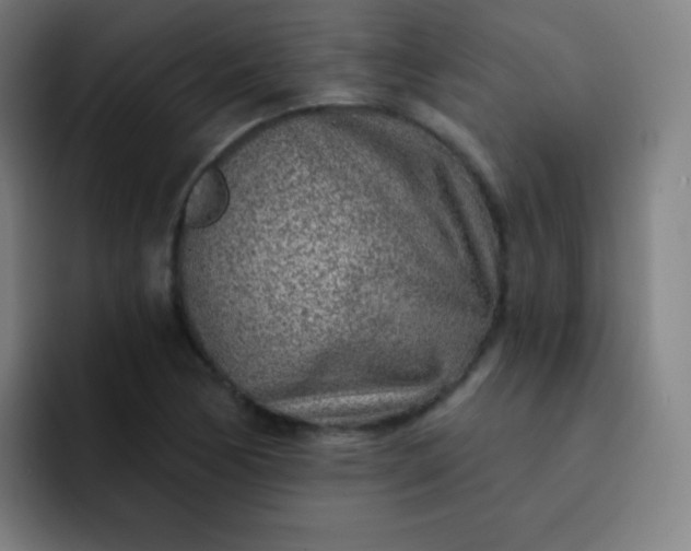 X0000093211170200710101321