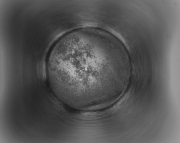 X0000093211171200710101321